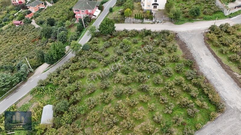 Vyg'den Akyazıda Satılık Konut İmarlı Arsa — fotoğraf 11