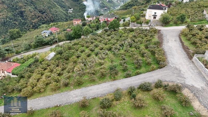 Vyg'den Akyazıda Satılık Konut İmarlı Arsa — fotoğraf 12