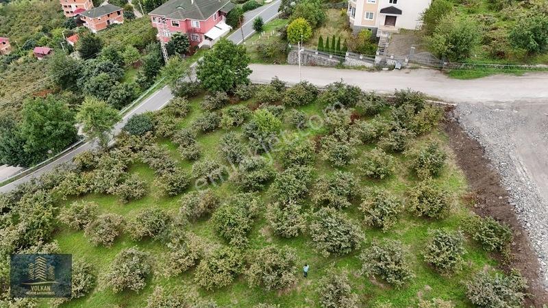 Vyg'den Akyazıda Satılık Konut İmarlı Arsa — fotoğraf 13