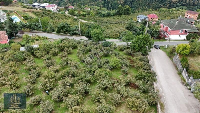 Vyg'den Akyazıda Satılık Konut İmarlı Arsa — fotoğraf 14