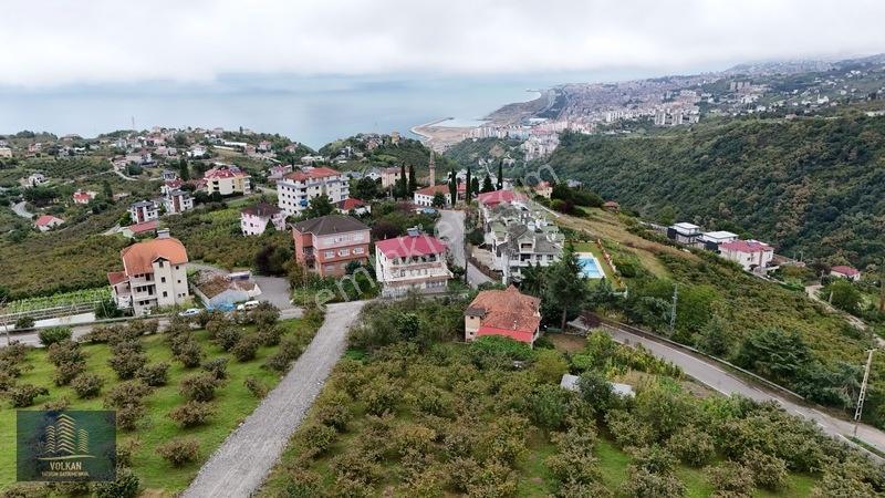 Vyg'den Akyazıda Satılık Konut İmarlı Arsa — fotoğraf 16