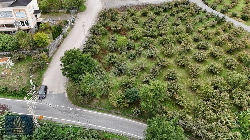 Vyg'den Akyazıda Satılık Konut İmarlı Arsa — fotoğraf 17