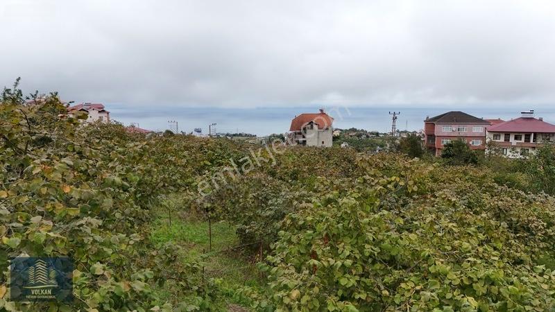 Vyg'den Akyazıda Satılık Konut İmarlı Arsa — fotoğraf 21