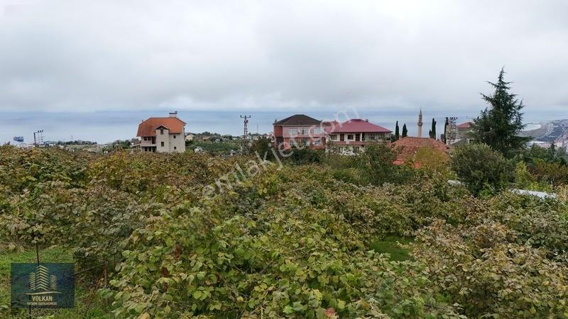 Vyg'den Akyazıda Satılık Konut İmarlı Arsa — fotoğraf 22