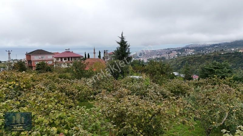 Vyg'den Akyazıda Satılık Konut İmarlı Arsa — fotoğraf 23
