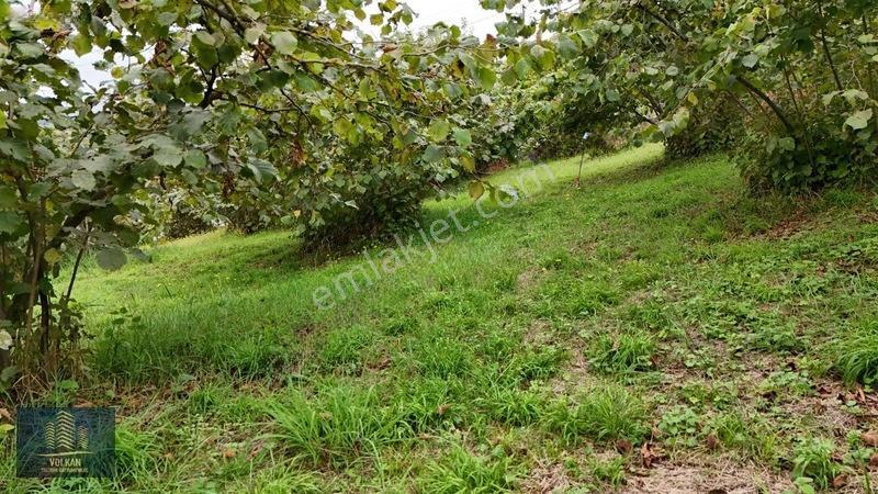 Vyg'den Akyazıda Satılık Konut İmarlı Arsa — fotoğraf 24