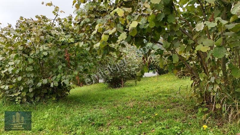 Vyg'den Akyazıda Satılık Konut İmarlı Arsa — fotoğraf 25