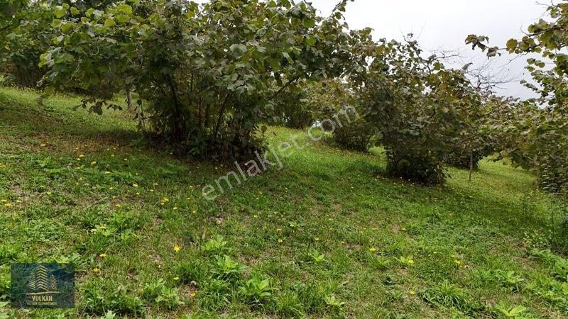 Vyg'den Akyazıda Satılık Konut İmarlı Arsa — fotoğraf 26