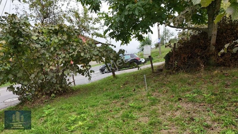 Vyg'den Akyazıda Satılık Konut İmarlı Arsa — fotoğraf 27