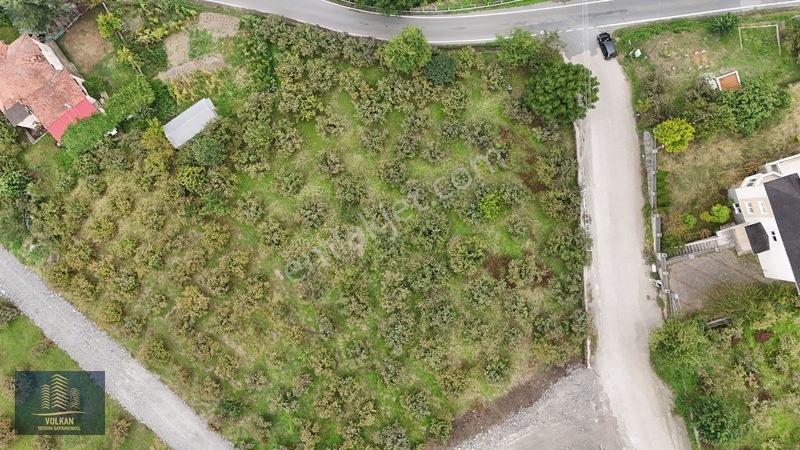 Vyg'den Akyazıda Satılık Konut İmarlı Arsa — fotoğraf 29