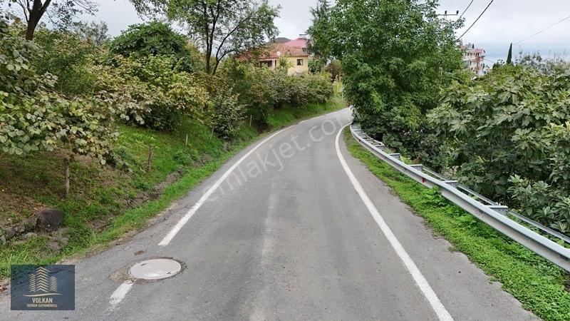 Vyg'den Akyazıda Satılık Konut İmarlı Arsa — fotoğraf 31