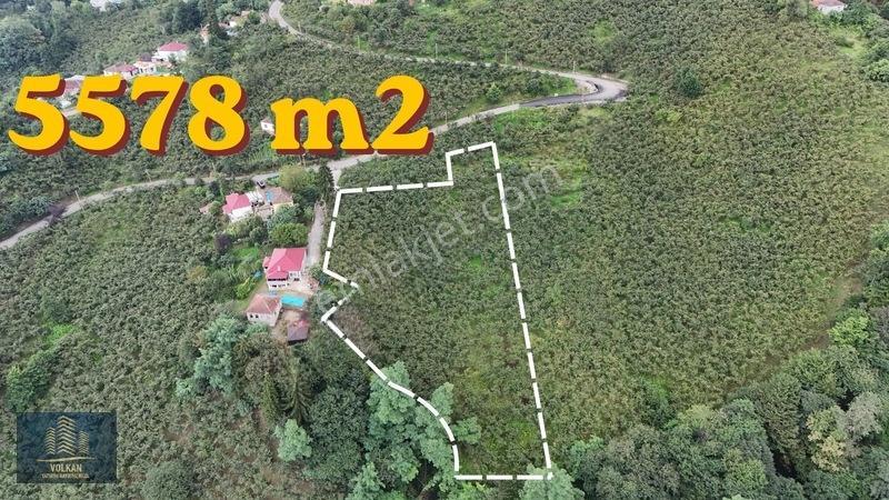 Vyg'den Ortahisar Kamışılıda Satılık 5578 M2 Arazi — fotoğraf 2