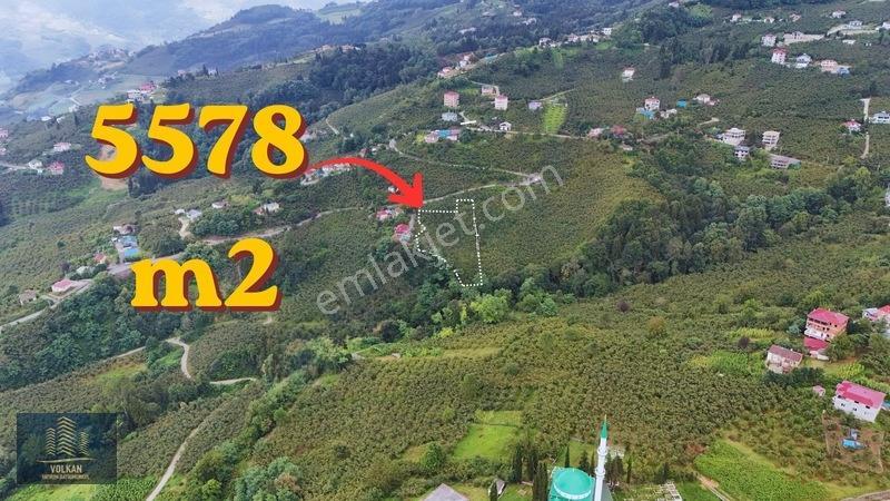 Vyg'den Ortahisar Kamışılıda Satılık 5578 M2 Arazi — fotoğraf 3