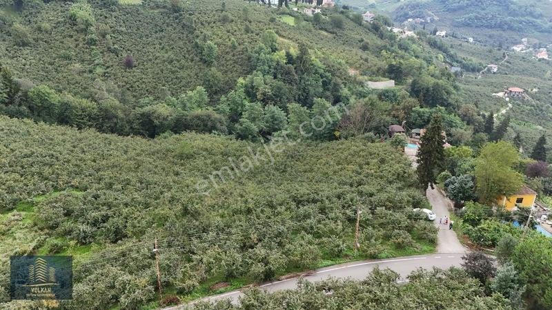 Vyg'den Ortahisar Kamışılıda Satılık 5578 M2 Arazi — fotoğraf 4