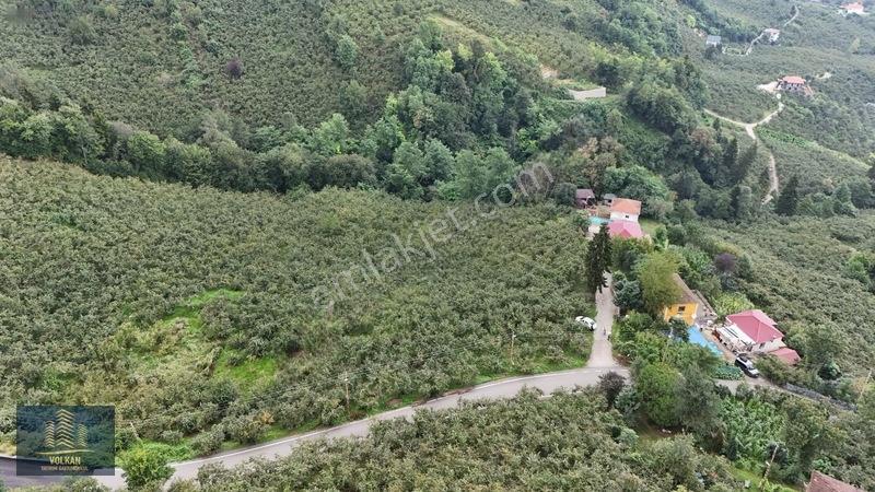 Vyg'den Ortahisar Kamışılıda Satılık 5578 M2 Arazi — fotoğraf 5