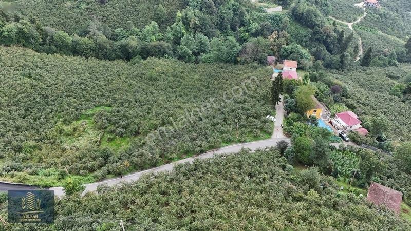 Vyg'den Ortahisar Kamışılıda Satılık 5578 M2 Arazi — fotoğraf 6