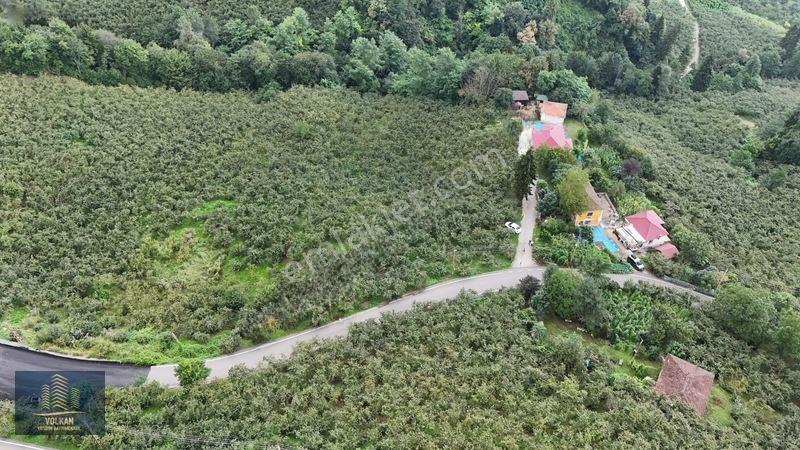 Vyg'den Ortahisar Kamışılıda Satılık 5578 M2 Arazi — fotoğraf 7