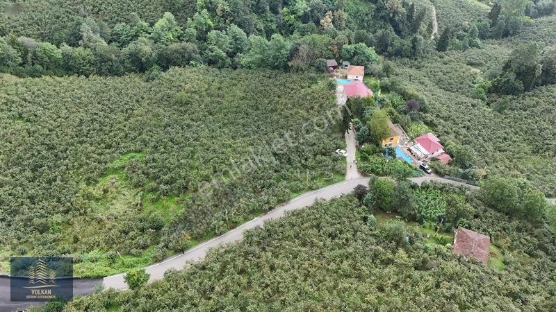 Vyg'den Ortahisar Kamışılıda Satılık 5578 M2 Arazi — fotoğraf 8