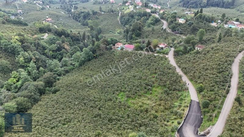 Vyg'den Ortahisar Kamışılıda Satılık 5578 M2 Arazi — fotoğraf 9