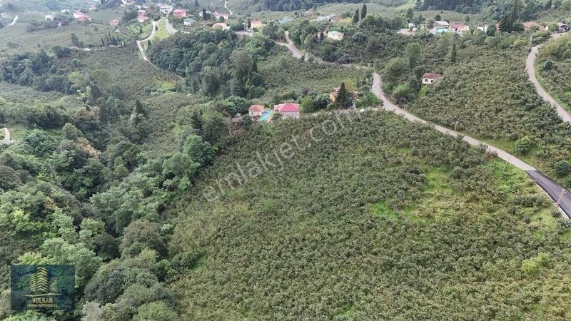 Vyg'den Ortahisar Kamışılıda Satılık 5578 M2 Arazi — fotoğraf 10