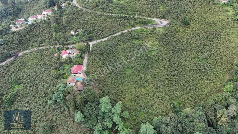 Vyg'den Ortahisar Kamışılıda Satılık 5578 M2 Arazi — fotoğraf 11