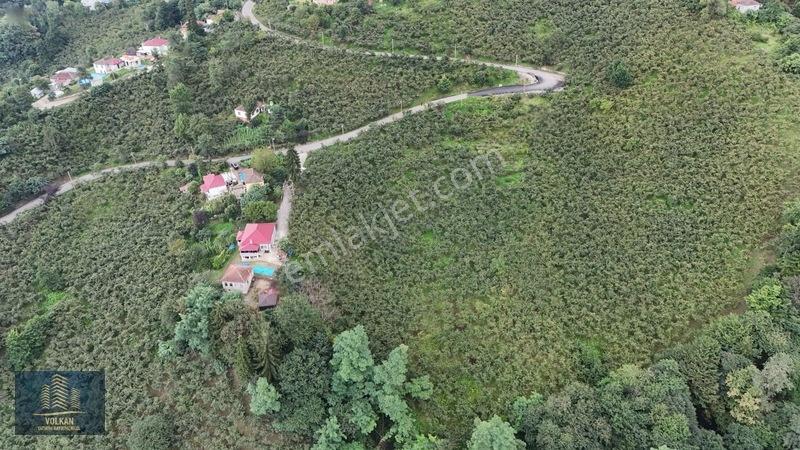 Vyg'den Ortahisar Kamışılıda Satılık 5578 M2 Arazi — fotoğraf 12