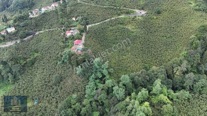 Vyg'den Ortahisar Kamışılıda Satılık 5578 M2 Arazi — fotoğraf 13