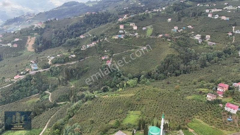 Vyg'den Ortahisar Kamışılıda Satılık 5578 M2 Arazi — fotoğraf 14