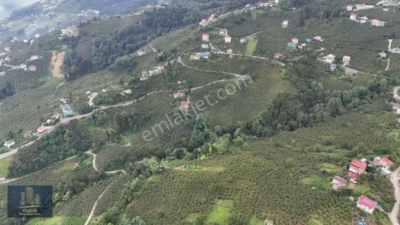 Vyg'den Ortahisar Kamışılıda Satılık 5578 M2 Arazi — fotoğraf 15