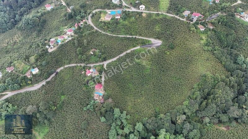 Vyg'den Ortahisar Kamışılıda Satılık 5578 M2 Arazi — fotoğraf 16