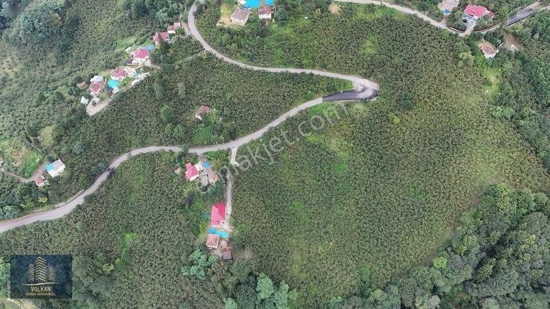 Vyg'den Ortahisar Kamışılıda Satılık 5578 M2 Arazi — fotoğraf 17