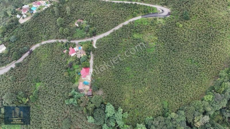 Vyg'den Ortahisar Kamışılıda Satılık 5578 M2 Arazi — fotoğraf 18