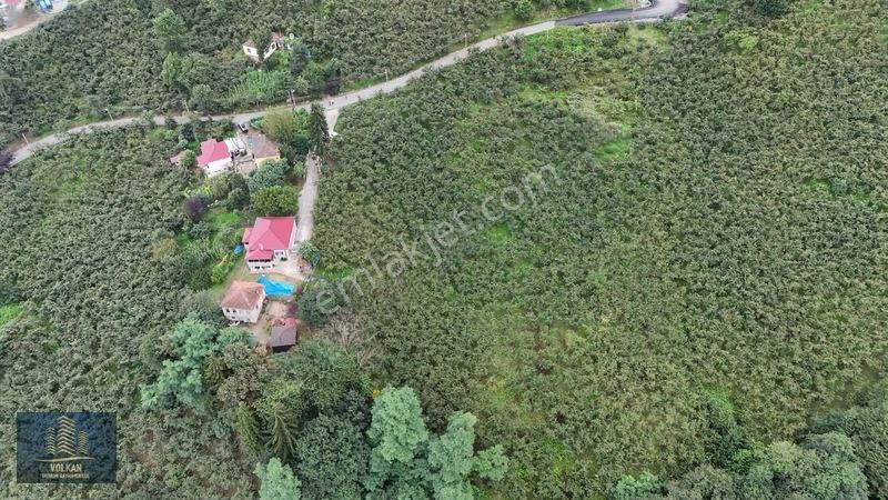 Vyg'den Ortahisar Kamışılıda Satılık 5578 M2 Arazi — fotoğraf 20