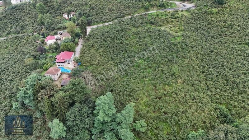 Vyg'den Ortahisar Kamışılıda Satılık 5578 M2 Arazi — fotoğraf 21
