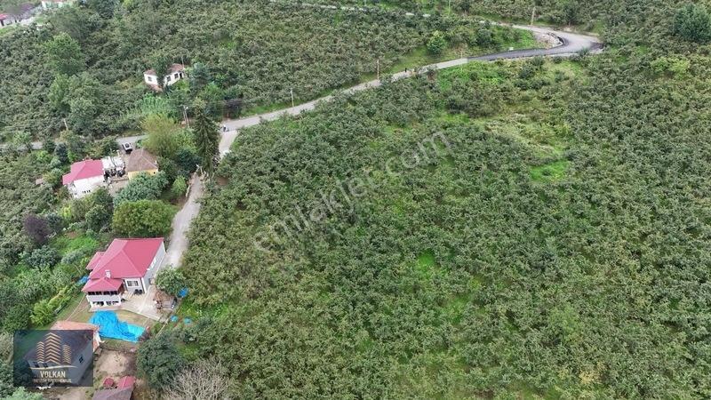 Vyg'den Ortahisar Kamışılıda Satılık 5578 M2 Arazi — fotoğraf 22