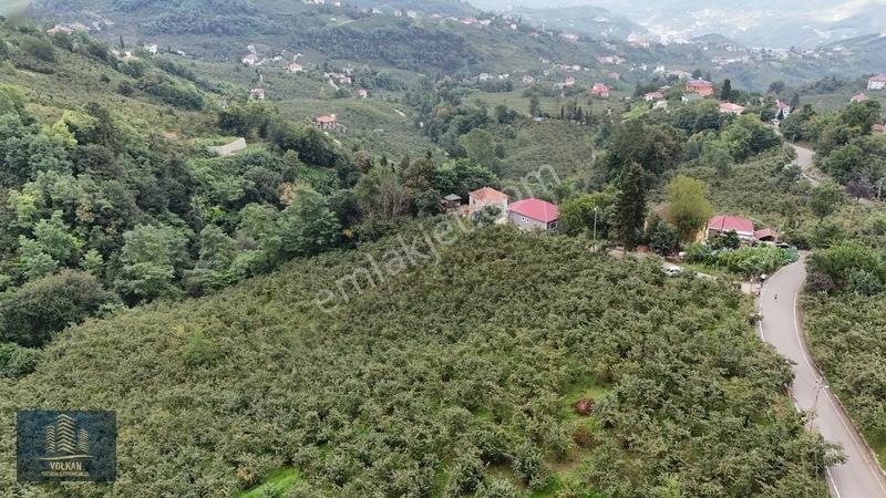 Vyg'den Ortahisar Kamışılıda Satılık 5578 M2 Arazi — fotoğraf 23