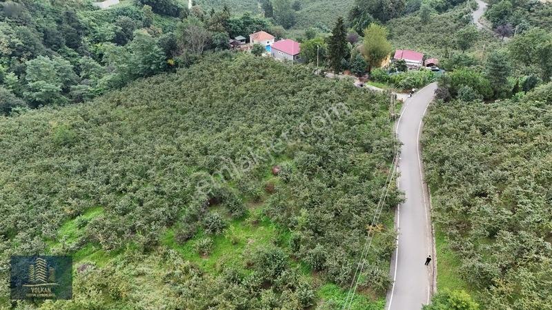 Vyg'den Ortahisar Kamışılıda Satılık 5578 M2 Arazi — fotoğraf 24
