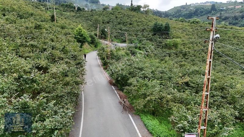 Vyg'den Ortahisar Kamışılıda Satılık 5578 M2 Arazi — fotoğraf 25