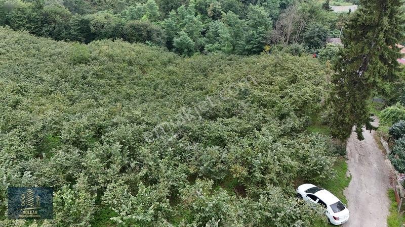 Vyg'den Ortahisar Kamışılıda Satılık 5578 M2 Arazi — fotoğraf 26