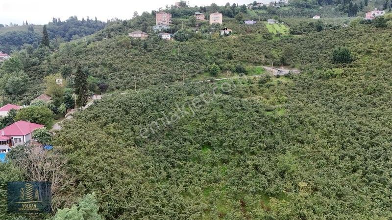 Vyg'den Ortahisar Kamışılıda Satılık 5578 M2 Arazi — fotoğraf 28