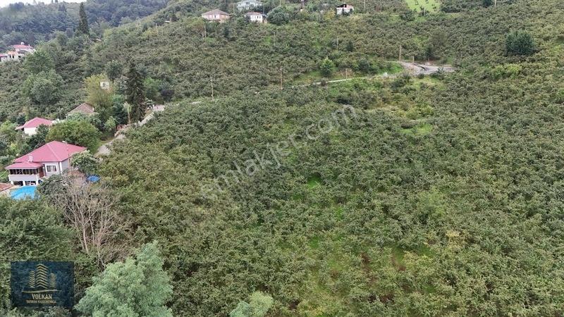 Vyg'den Ortahisar Kamışılıda Satılık 5578 M2 Arazi — fotoğraf 29