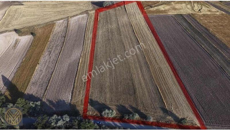 Mülküm Gayrimenkul'den Subaşı'da Yatırımlık Kaçmaz Fırsat Tarla!