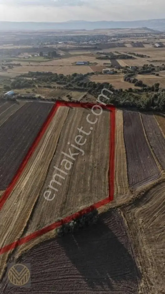 Mülküm Gayrimenkul'den Subaşı'da Yatırımlık Kaçmaz Fırsat Tarla! — fotoğraf 2