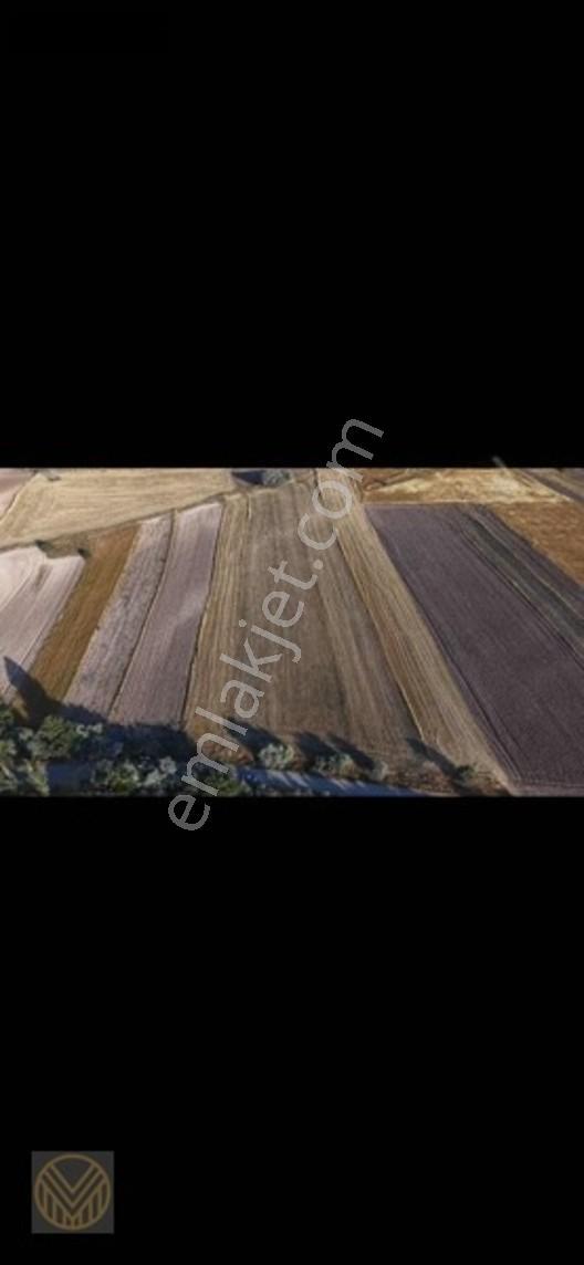 Mülküm Gayrimenkul'den Subaşı'da Yatırımlık Kaçmaz Fırsat Tarla! — fotoğraf 8