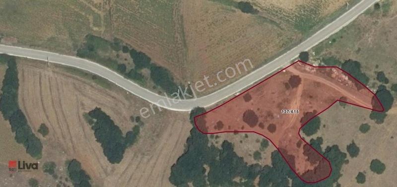 Toybelen 'De Asfalt Yola Cepheli Yatırımlık 4.250 M² Tarla!