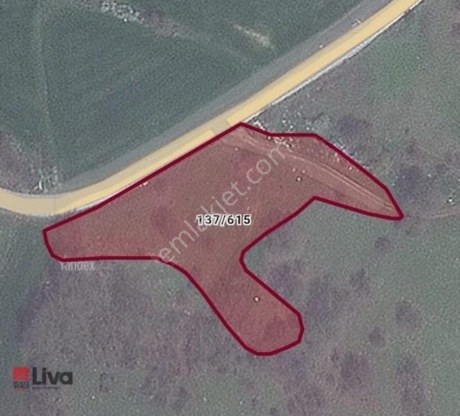 Toybelen 'de Asfalt Yola Cepheli Yatırımlık 4.250 M² Tarla! — fotoğraf 2