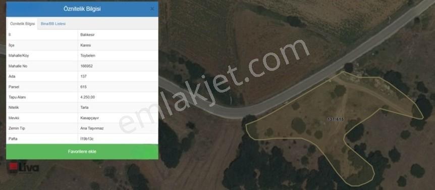 Toybelen 'de Asfalt Yola Cepheli Yatırımlık 4.250 M² Tarla! — fotoğraf 3