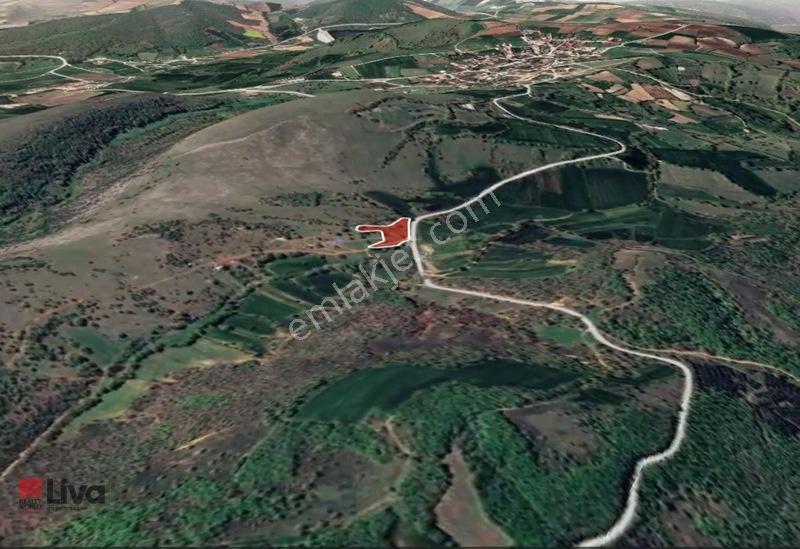 Toybelen 'de Asfalt Yola Cepheli Yatırımlık 4.250 M² Tarla! — fotoğraf 4