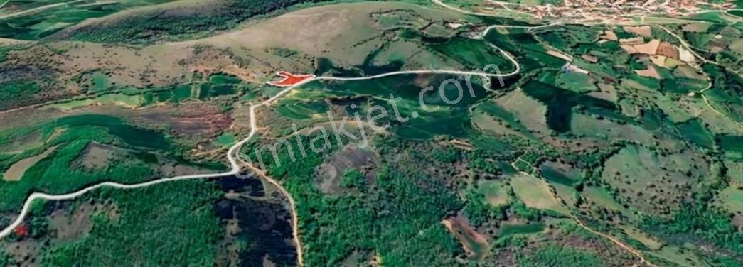 Toybelen 'de Asfalt Yola Cepheli Yatırımlık 4.250 M² Tarla! — fotoğraf 5