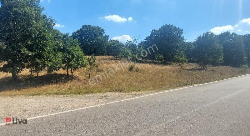 Toybelen 'de Asfalt Yola Cepheli Yatırımlık 4.250 M² Tarla! — fotoğraf 7